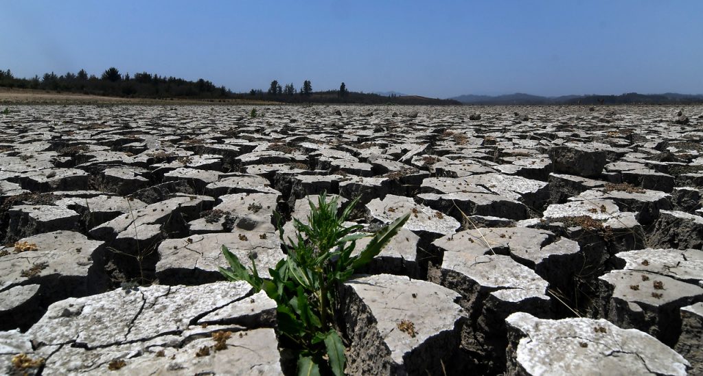 Fenómeno de La Niña se presentaría por tercer año consecutivo en Chile