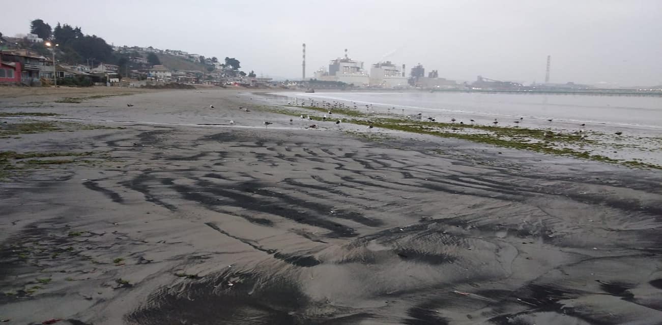 El varamiento de carbón número 86 en lo que va del año registró la playa Ventanas en Puchuncaví