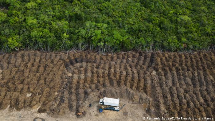 Brasil registra deforestación récord en la Amazonía en últimos 15 años