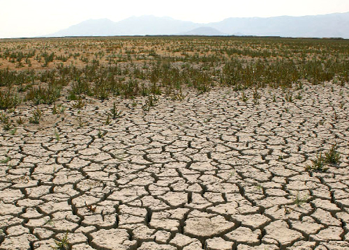 Naciones Unidas advierte sobre la desertificación en todo el mundo