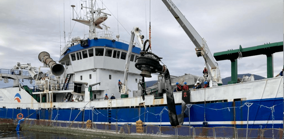 Avanzan labores de extracción de salmones afectados por FAN en Aysén