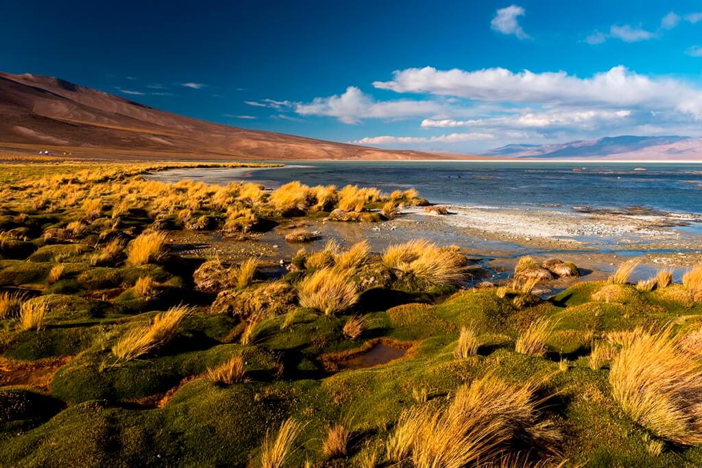 Chile: ocho proyectos mineros cercan el Parque Nacional Nevado Tres Cruces