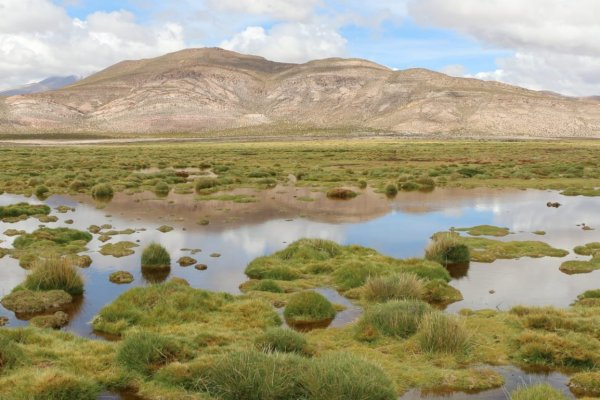 Estado del Medio Ambiente 2021 registra alza en áreas protegidas y derechos de agua y descenso en emisiones