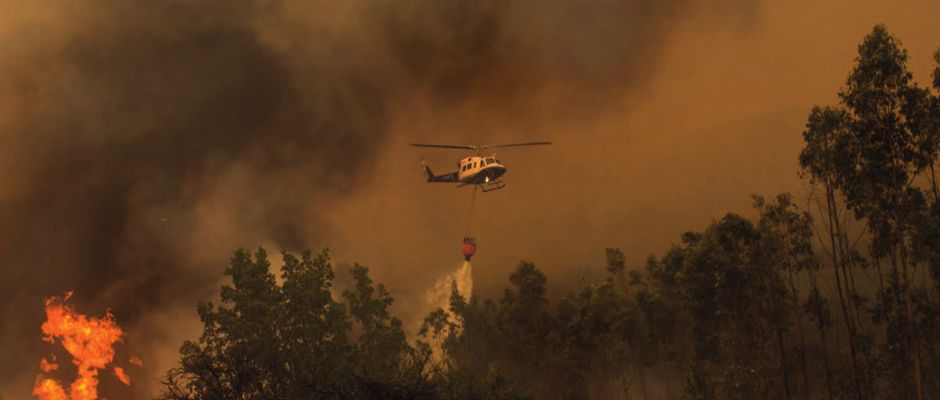 Estrenan documental sobre negocio tras incendios forestales