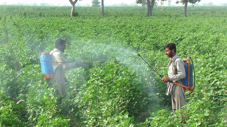 Atlas de los Pesticidas: la huella de un negocio tóxico en el mundo