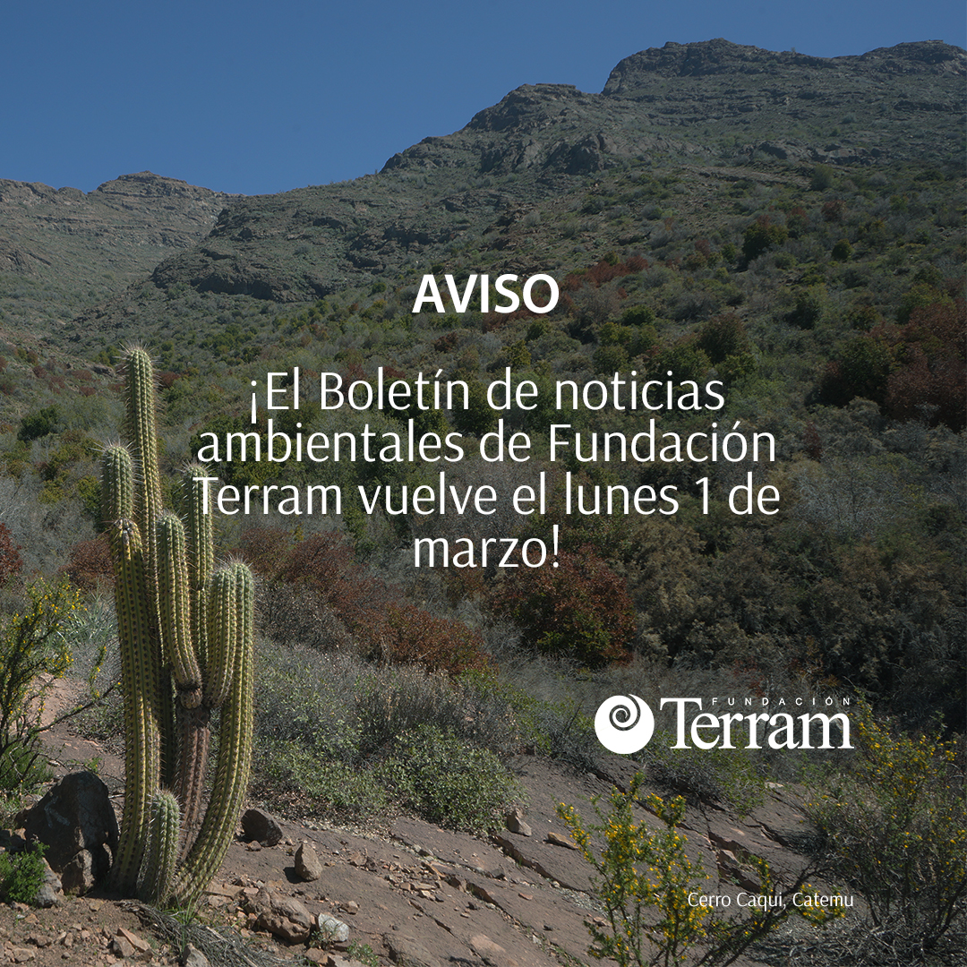 Boletín Terram regresa el 1 de marzo de 2022