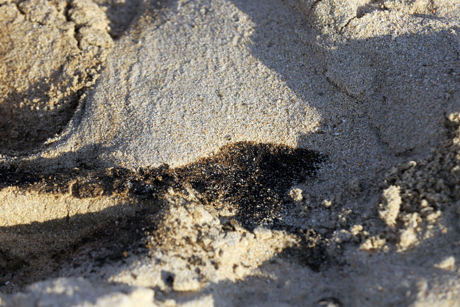 Ripamonti se querellará por delito ambiental tras derrame de hidrocarburos en Las Salinas