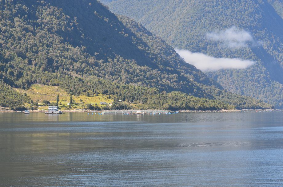 Contraloría ordena al SEA iniciar un sumario en la Dirección Regional de Los Lagos