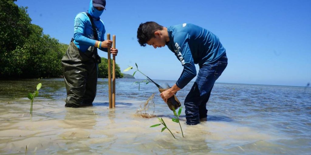 Adaptación al cambio climático: cuatro ejemplos exitosos en América Latina