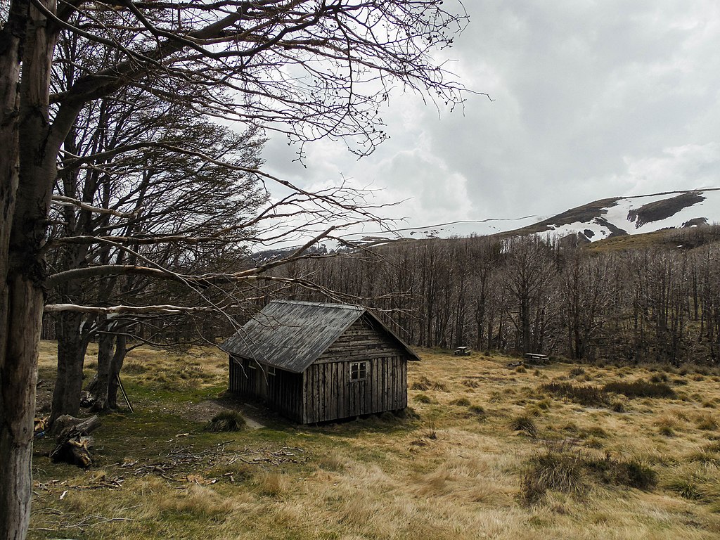 SMA inicia procedimiento contra proyecto inmobiliario con loteos dentro del Parque Nacional Puyehue