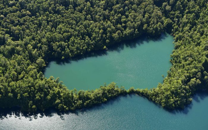 Elaboran del primer mapa de áreas esenciales para la conservación de la biodiversidad y la vida