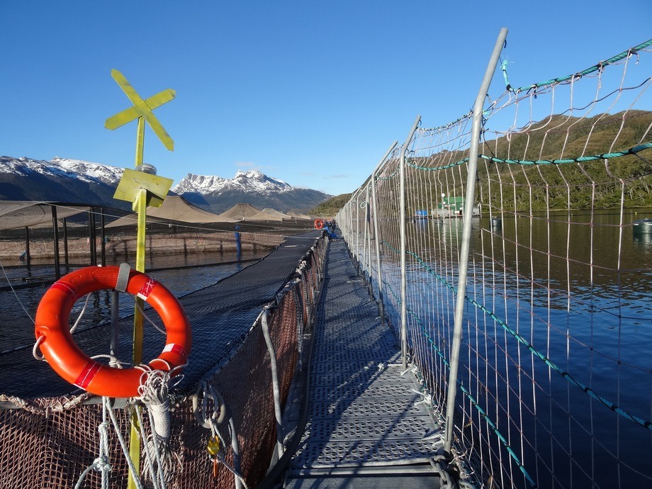 Australis Mar ampliará centro acuícola en Natales