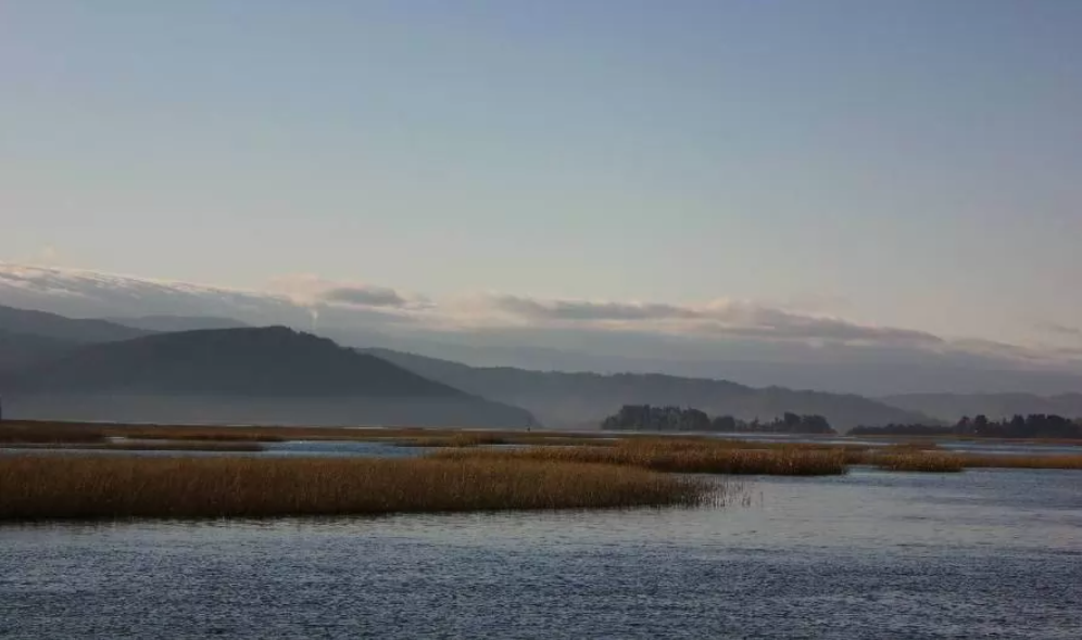 Inaudito: norma para regular contaminantes en la Cuenca del río Valdivia lleva 16 años en proceso