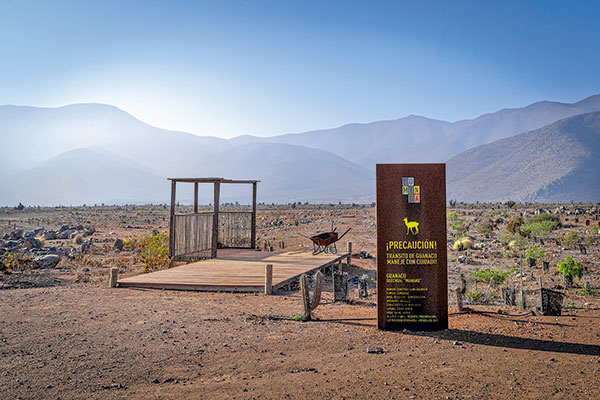 Familias Délano y Garcés inician proceso para vender el proyecto Dominga a un consorcio chino