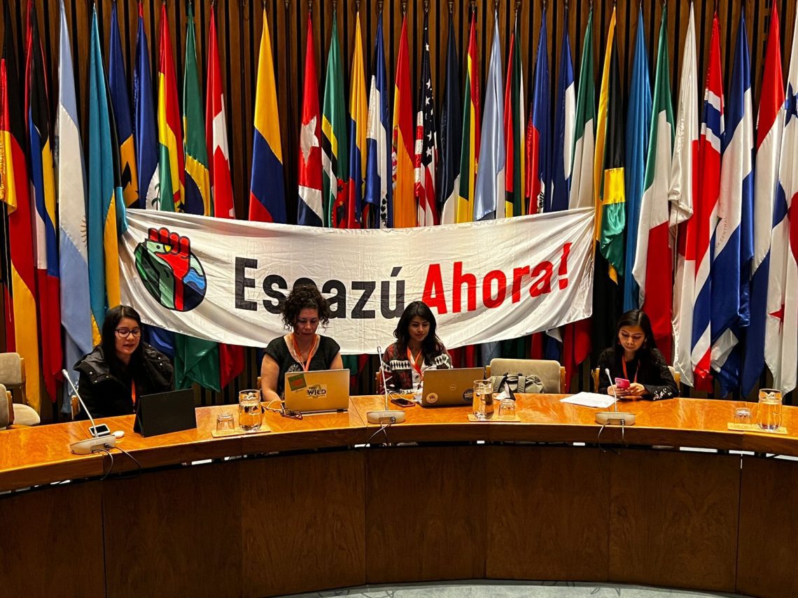 COP1 de Escazú: los principales acuerdos de la primera conferencia de las partes celebrada en Santiago