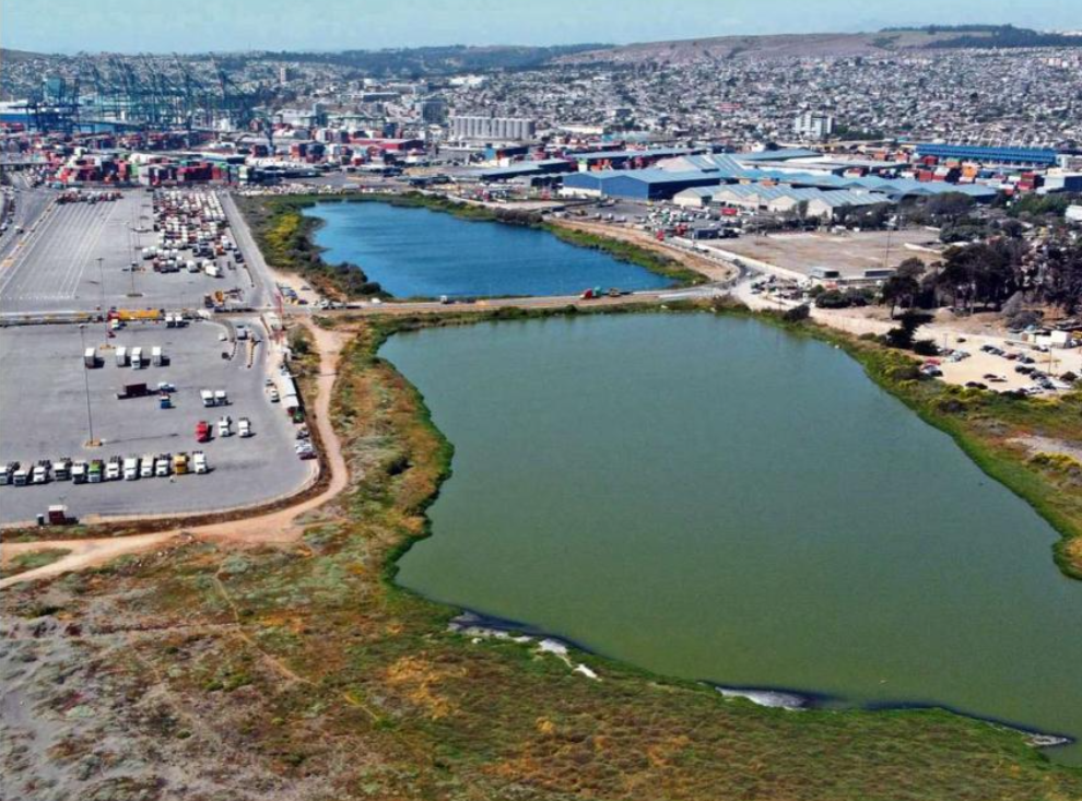 MMA se compromete a declarar humedal urbano los ojos de mar de San Antonio, pero la propuesta no incluye la playa de Llolleo