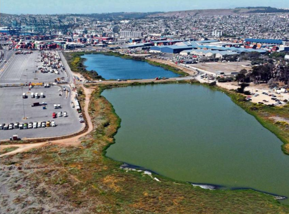 Tribunal Ambiental revisó las medidas cautelares para Ojos de Mar de Llolleo