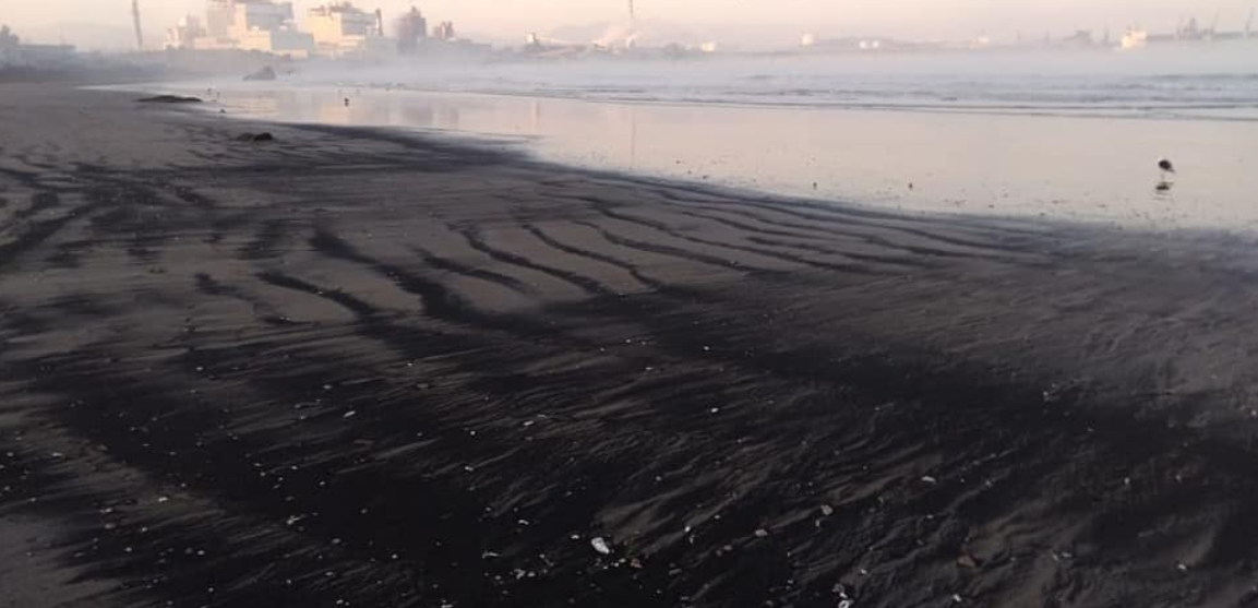 Chile: 55 varamientos de carbón se han registrado en playa Ventanas en los últimos nueve meses