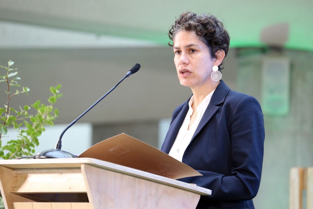 Ministra Rojas: la posición de la UE “abrió la posibilidad real de crear un fondo de Pérdidas y Daños en la COP27”
