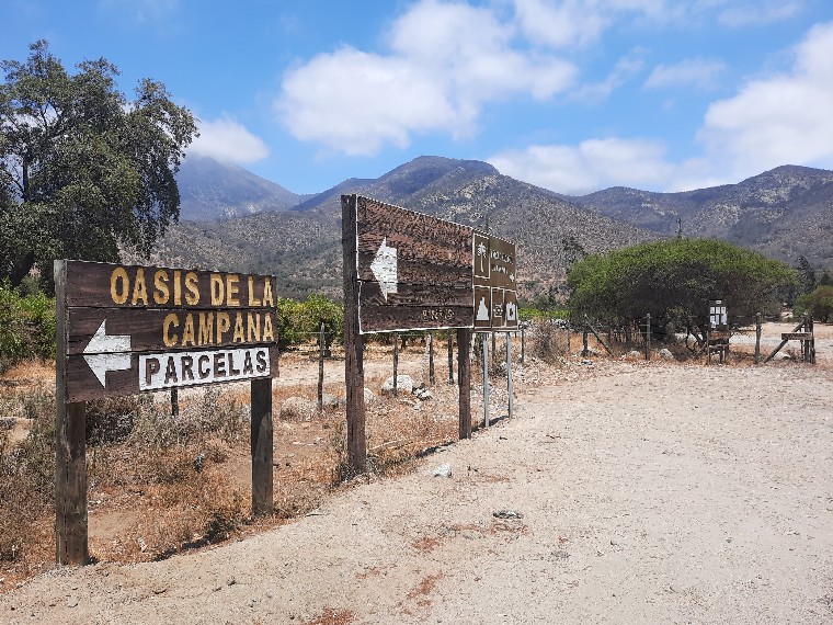 Inmobiliaria que busca vender más de 2 mil parcelas en zona aledaña al Parque Nacional La Campana es denunciada por eludir estudios de impacto ambiental