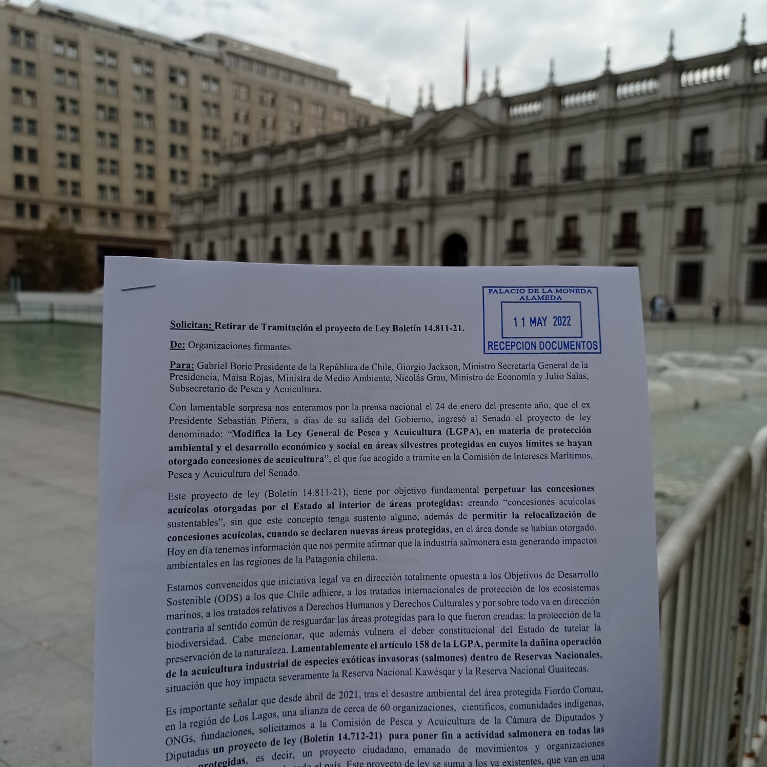 52 organizaciones solicitan al gobierno el retiro de proyecto de ley que permite la presencia de salmoneras en Áreas Protegidas