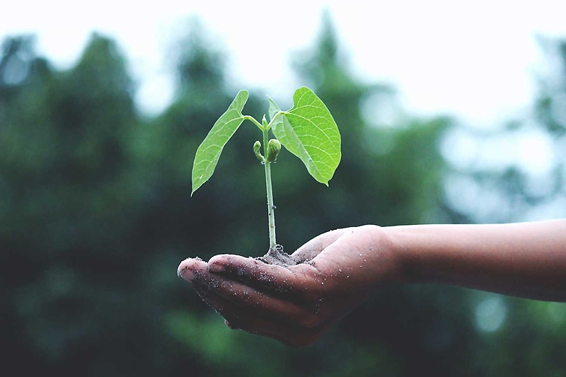 Ley de Cambio Climático: la hoja de ruta “hacia un desarrollo bajo en emisiones de gases invernadero”