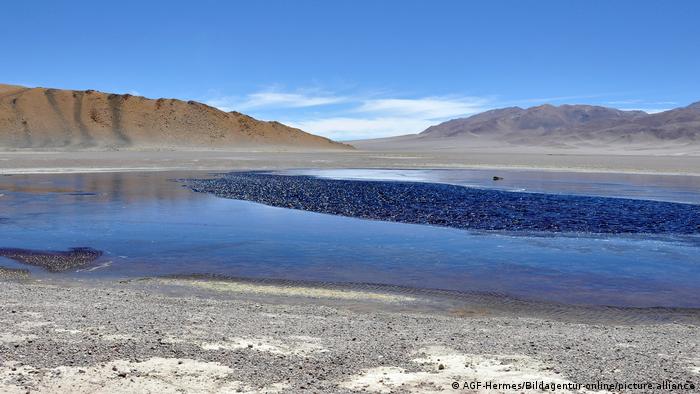 El dilema del Pacto Verde Europeo: entre el litio y la biodiversidad de América Latina