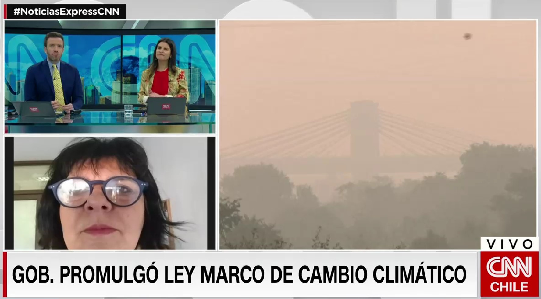 Flavia Liberona y Ley Marco de Cambio Climático: “Los objetivos son razonables, pero hay que hacer una revisión constante de ellos”