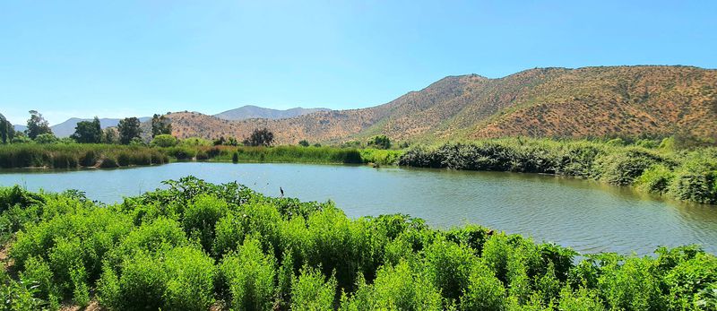 Acuífero de Peñaflor: la desconocida reserva de la Región Metropolitana que podría abastecer de agua a Santiago