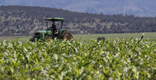 Cómo el cambio climático ha modificado el mapa agrícola de Chile