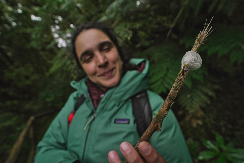 Giuliana Furci, defensora de los hongos, es la primera chilena en recibir premio de National Geographic