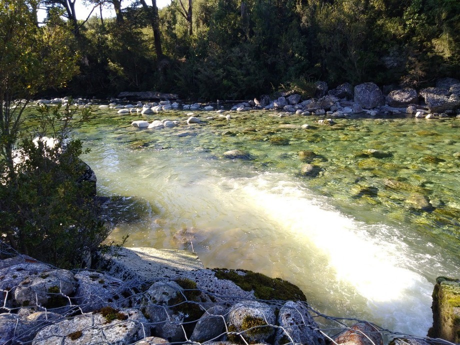 SMA dicta medidas contra Salmones Multiexport por utilización de químicos en proyecto de Cochamó