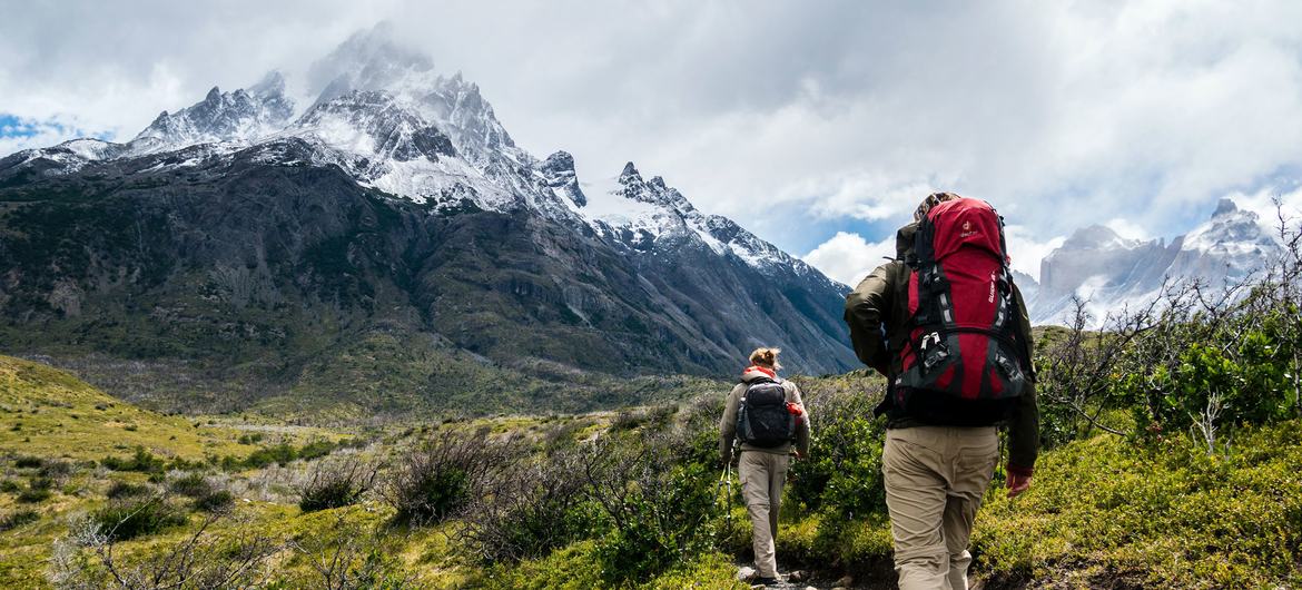 Servicios ecosistémicos: así funciona el “gran abanico” de beneficios que brinda la naturaleza