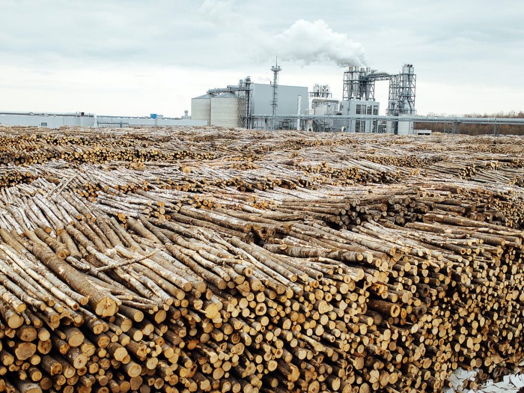 IPBES: Cortoplacismo centrado en crecimiento económico destruye la biodiversidad