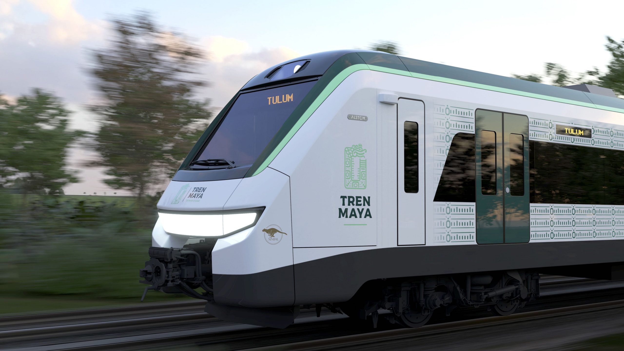 Tren Maya: activistas desenmascararon a los 15 supuestos responsables del “más grande ecocidio en México”