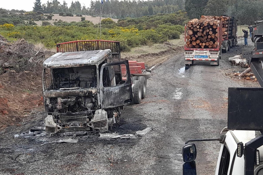 Lanzan reporte sobre modelo forestal chileno y conflicto con comunidades indígenas