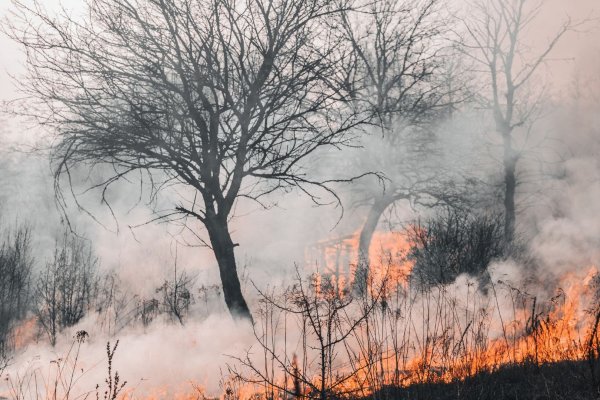 Cambio climático causó alrededor de US$ 65 mil millones en pérdidas el primer semestre