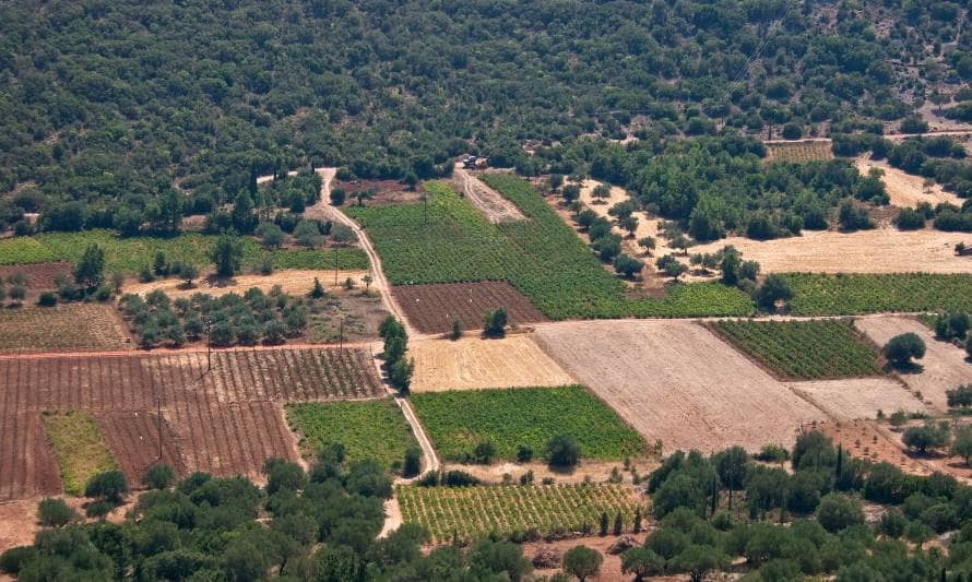 Loteos en áreas rurales: ¿Qué proyectos de subdivisión deberán ser rechazados?