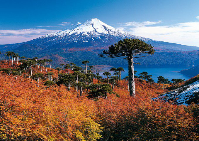 Actualización de áreas protegidas: Chile cumple con representatividad de ecosistemas protegidos, pero pronto estará bajo el estándar mundial