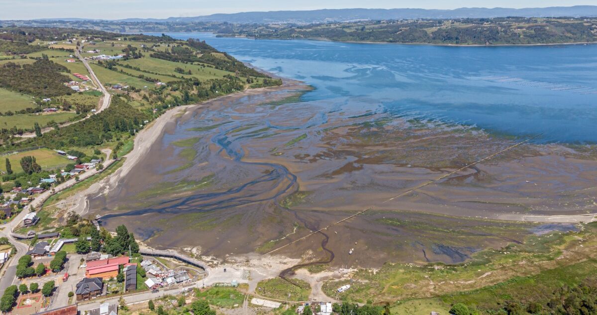 Chiloé: Gobierno transforma 3 humedales costeros en Santuarios de la Naturaleza