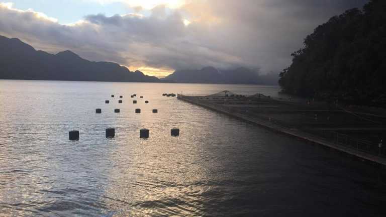 Región de Aysén: Realizan participación ciudadana en dos proyectos de salmones