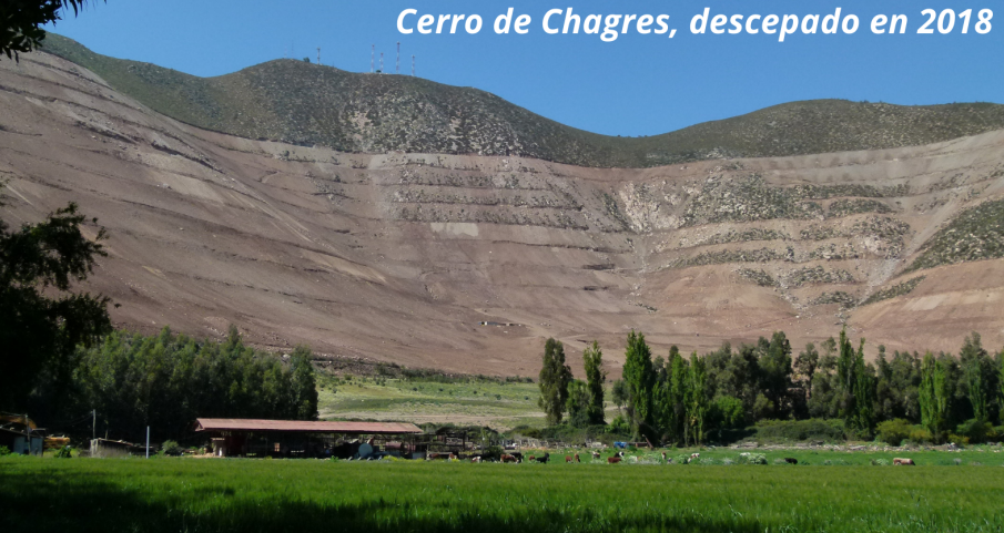 Organizaciones, comunidades y municipios exigimos al Ministerio de Agricultura detener la destrucción de las formaciones xerofíticas