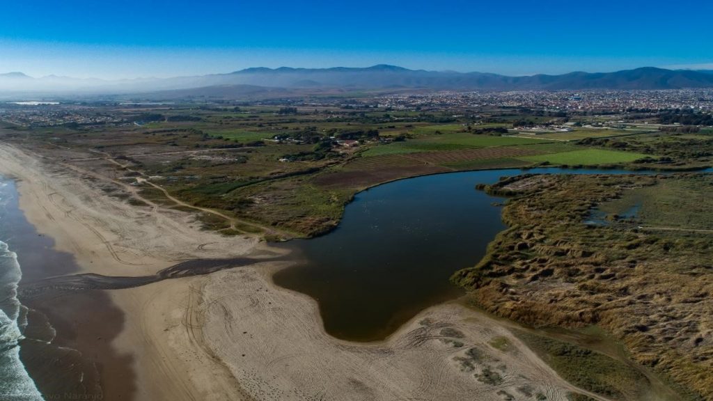 Coquimbo: Ribera del Río Elqui es reconocido como primer humedal urbano de la Región