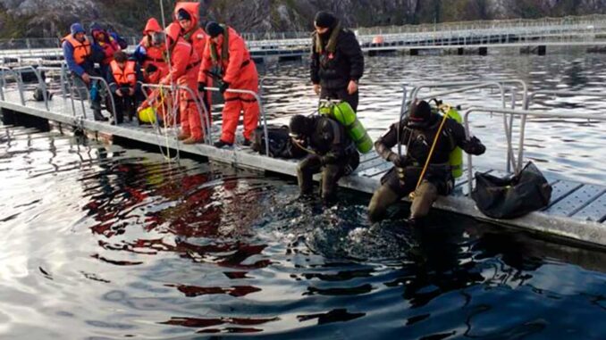 Declaración pública de Fundación Terram y Observatorio Ciudadano  ante la muerte de trabajadora buzo comercial en centro de cultivo  de salmones de Nova Austral