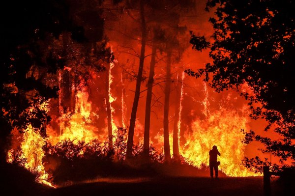Los incendios forestales europeos han quemado áreas equivalentes a la mitad de Irlanda del Norte