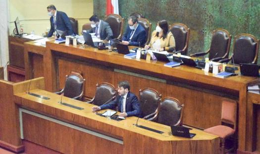 Senado aprueba proyecto de Biocombustibles Sólidos y es despachado a ley