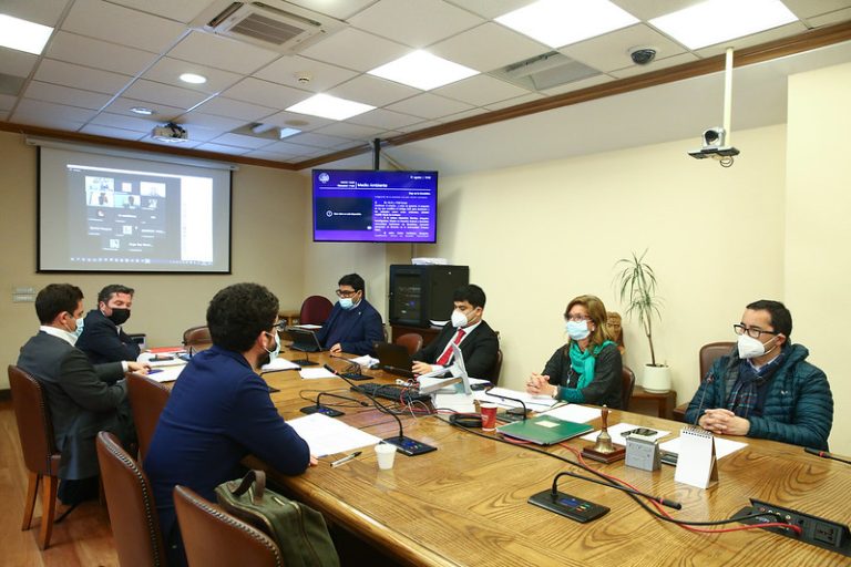 Comisión de Medio Ambiente de la Cámara aprueba transición socioecológica justa hacia la carbono neutralidad