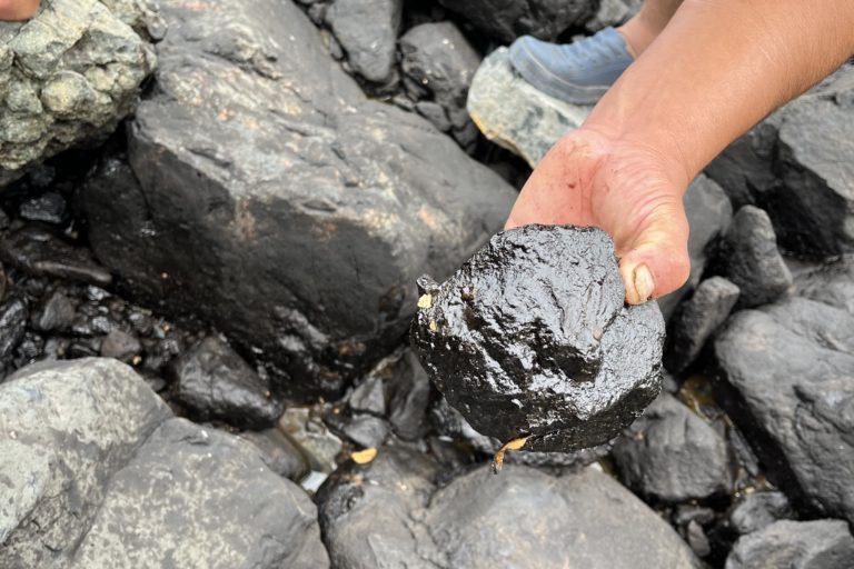 Derrame de petróleo: más de 200 días después, 34 sitios y un área protegida siguen afectados en la costa central de Perú