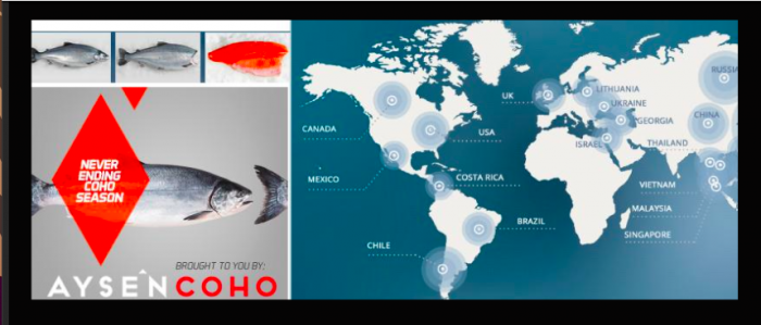 Inician proceso sancionatorio por faltas gravísimas a Salmones Aysén S.A.