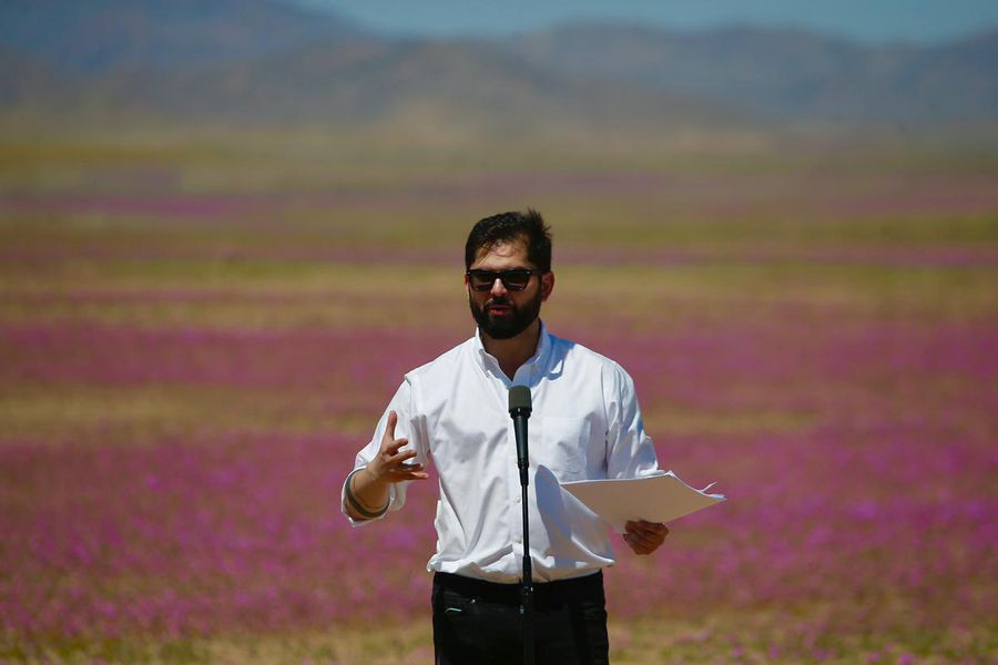 Presidente Gabriel Boric anuncia creación de Parque Nacional Desierto Florido en marco del Día Nacional del Medio Ambiente